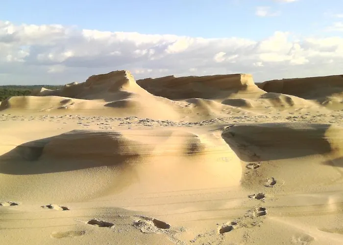 Le Clos Des Bouviers Διαμέρισμα Lanton